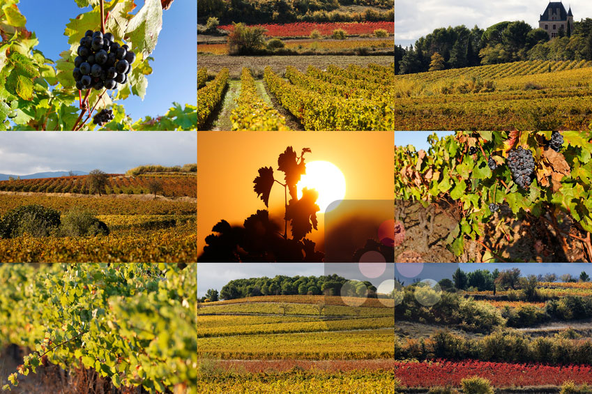 région viticole d'Alsace