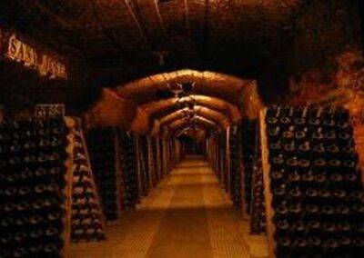 L’importance de l’aération et l’obscurité des caves à vin