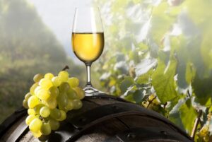 Région viticole Rhône Sud