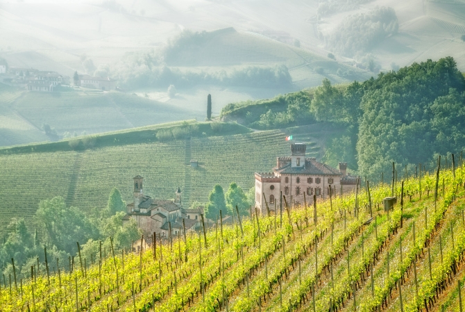 Ma Cave à vin présente la Toscane