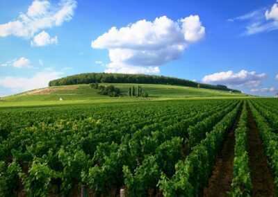 Les régions viticoles d’Italie: le Frioul