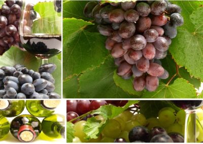 Les régions viticoles d’Italie: la Vallée d’Aoste